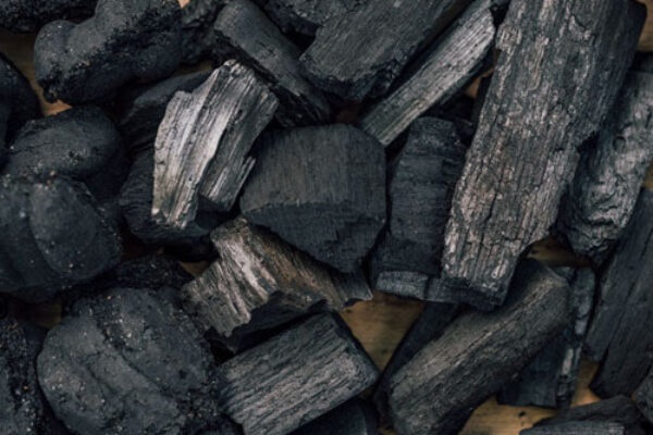 bimodyra - galeri (2)