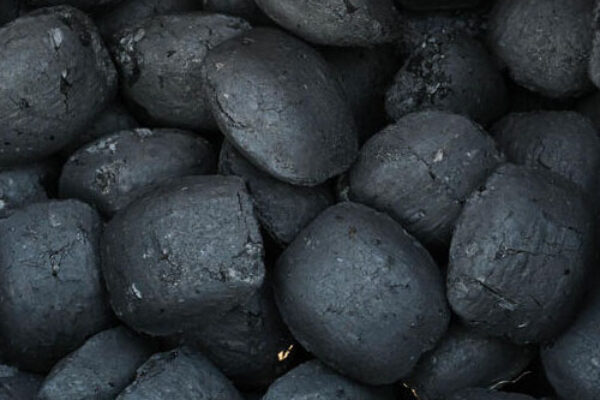 bimodyra - galeri (3)